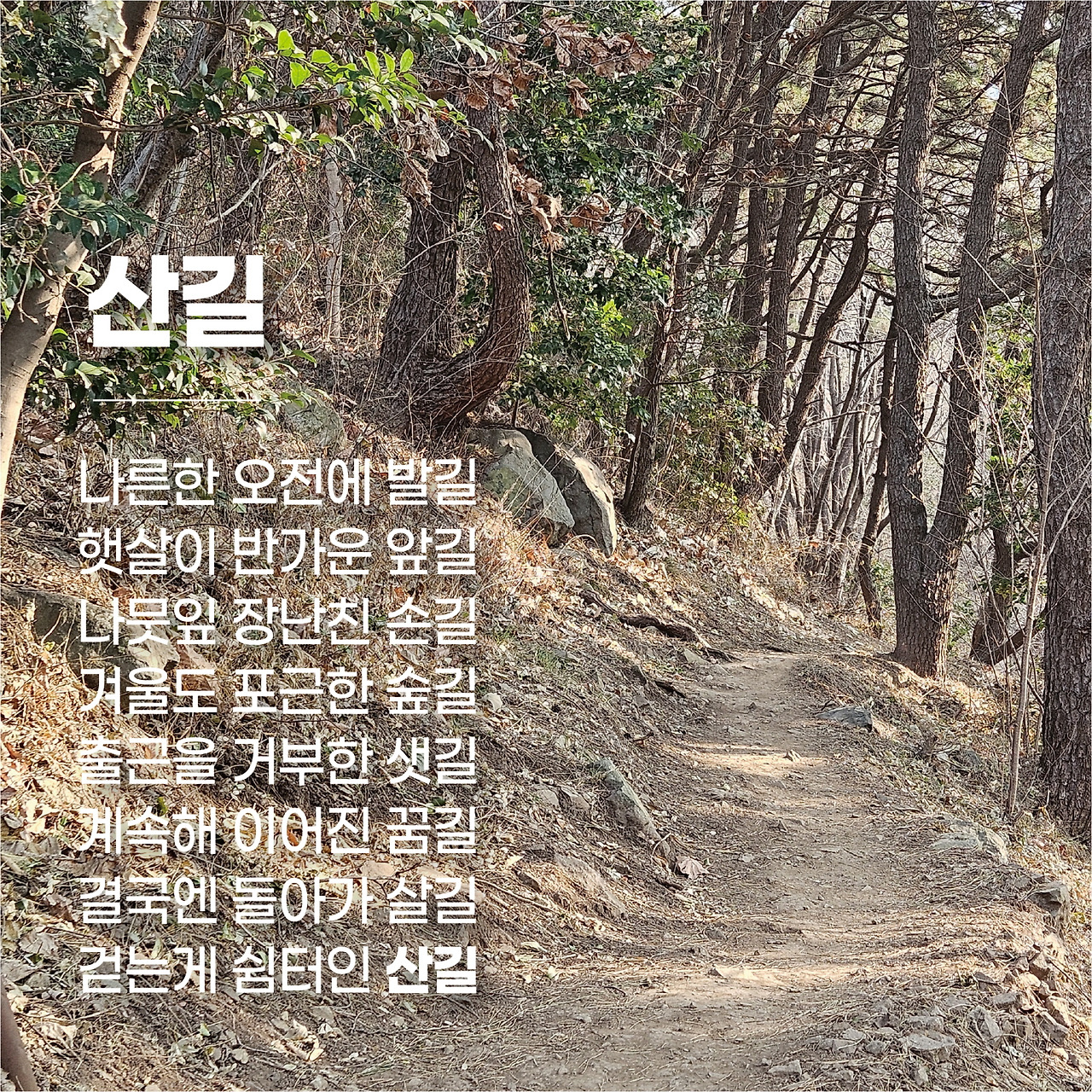 05화 걷는게 쉼터인 [산길]
