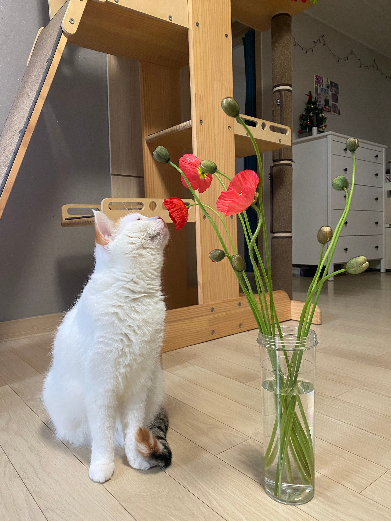 온라인 카지노 게임