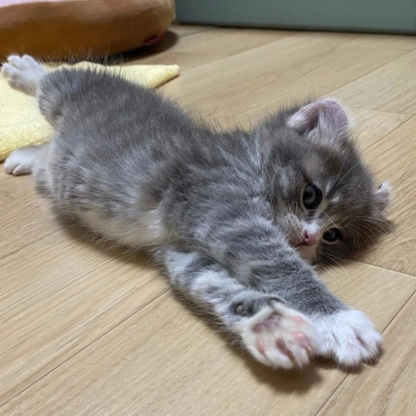 카지노 게임