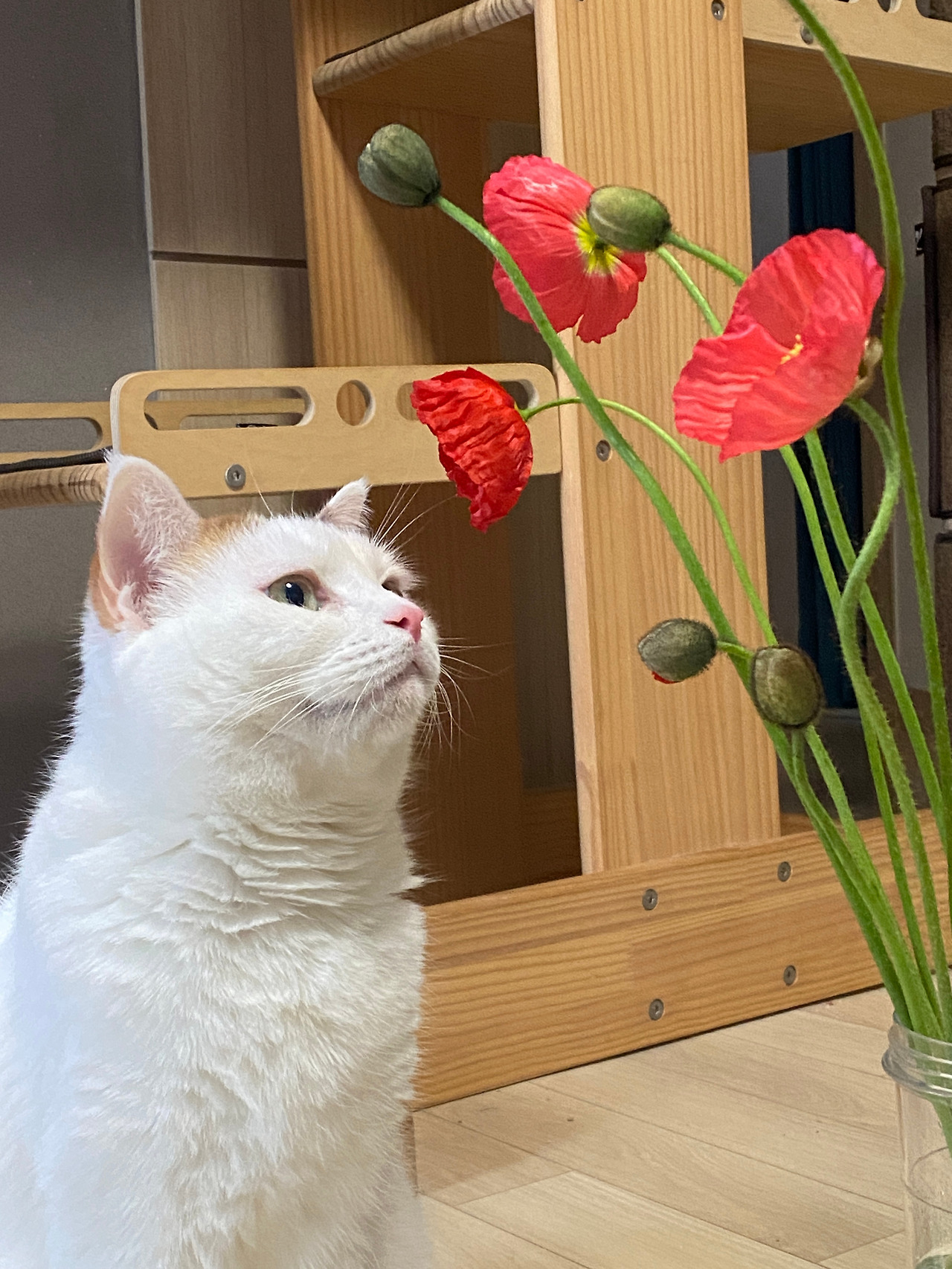 온라인 카지노 게임