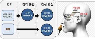 02화 아동 후각 교육