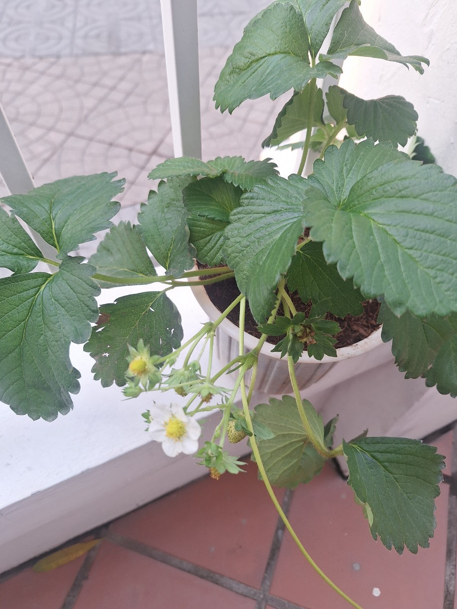 카지노 게임 사이트