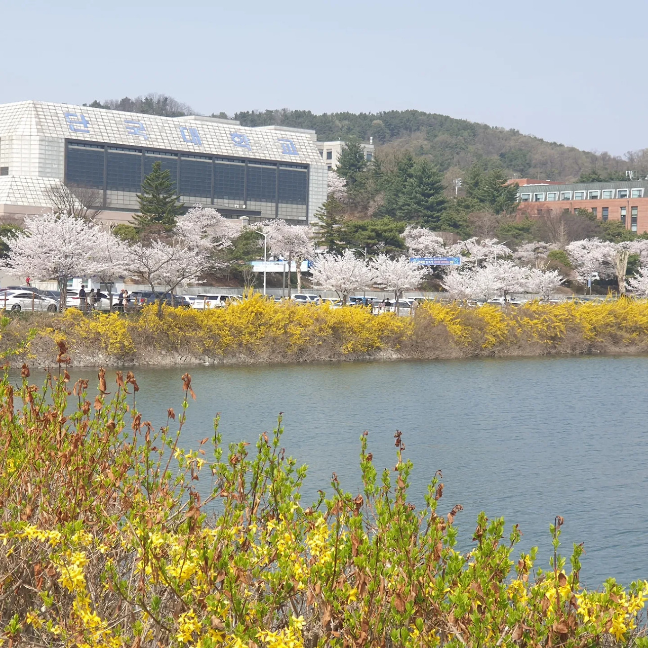 13화 그 곳 천안