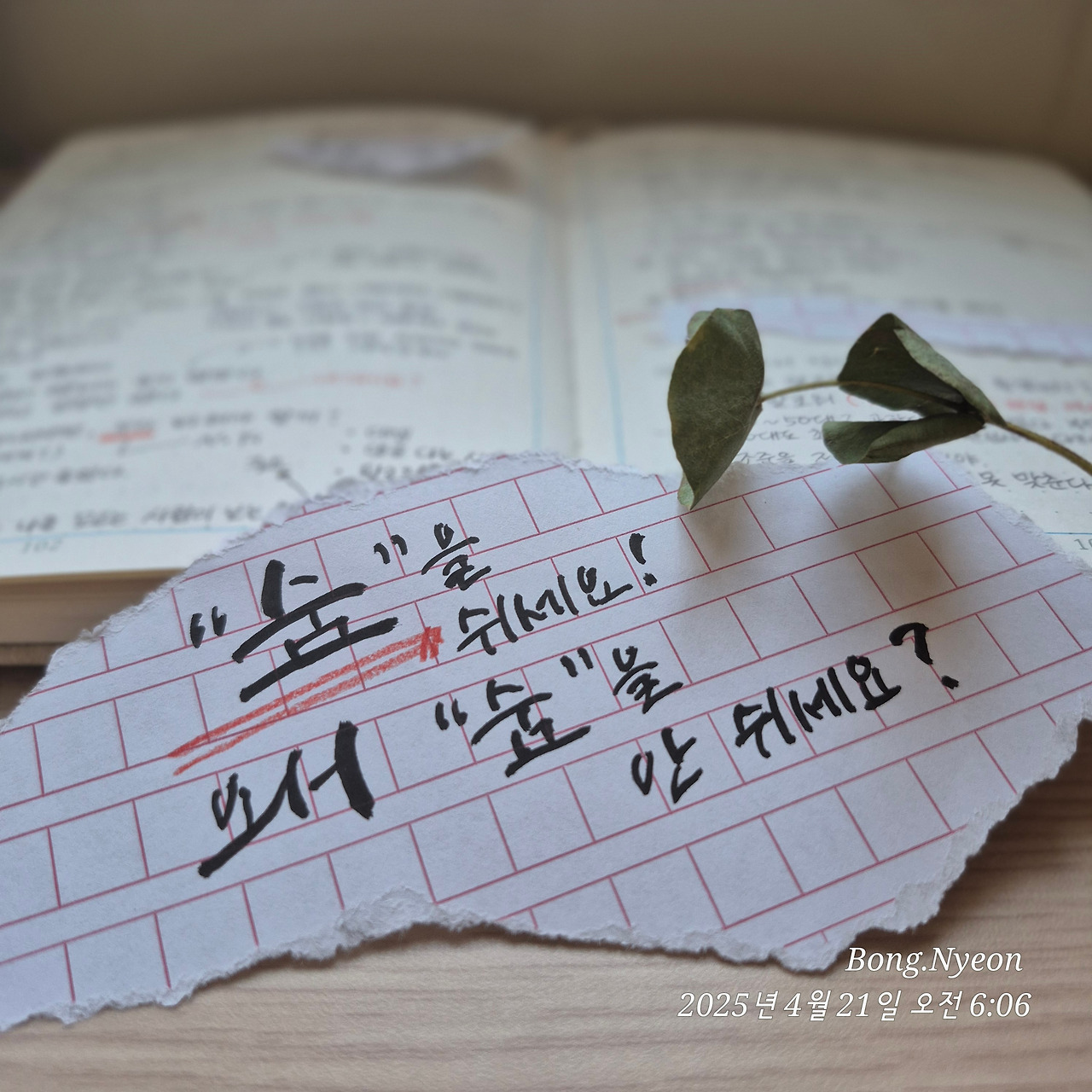 카지노 게임