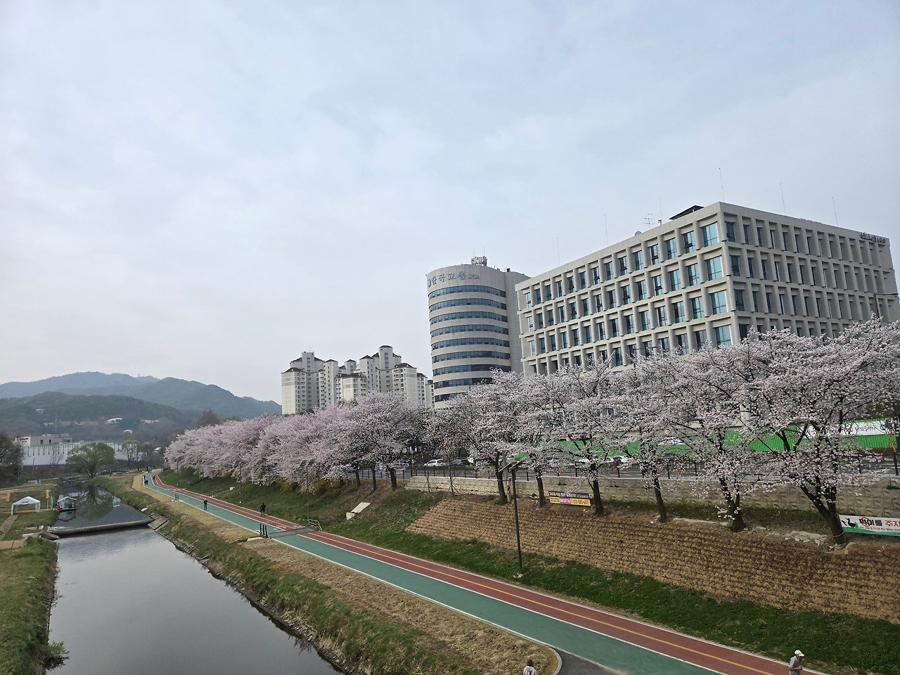 카지노 쿠폰