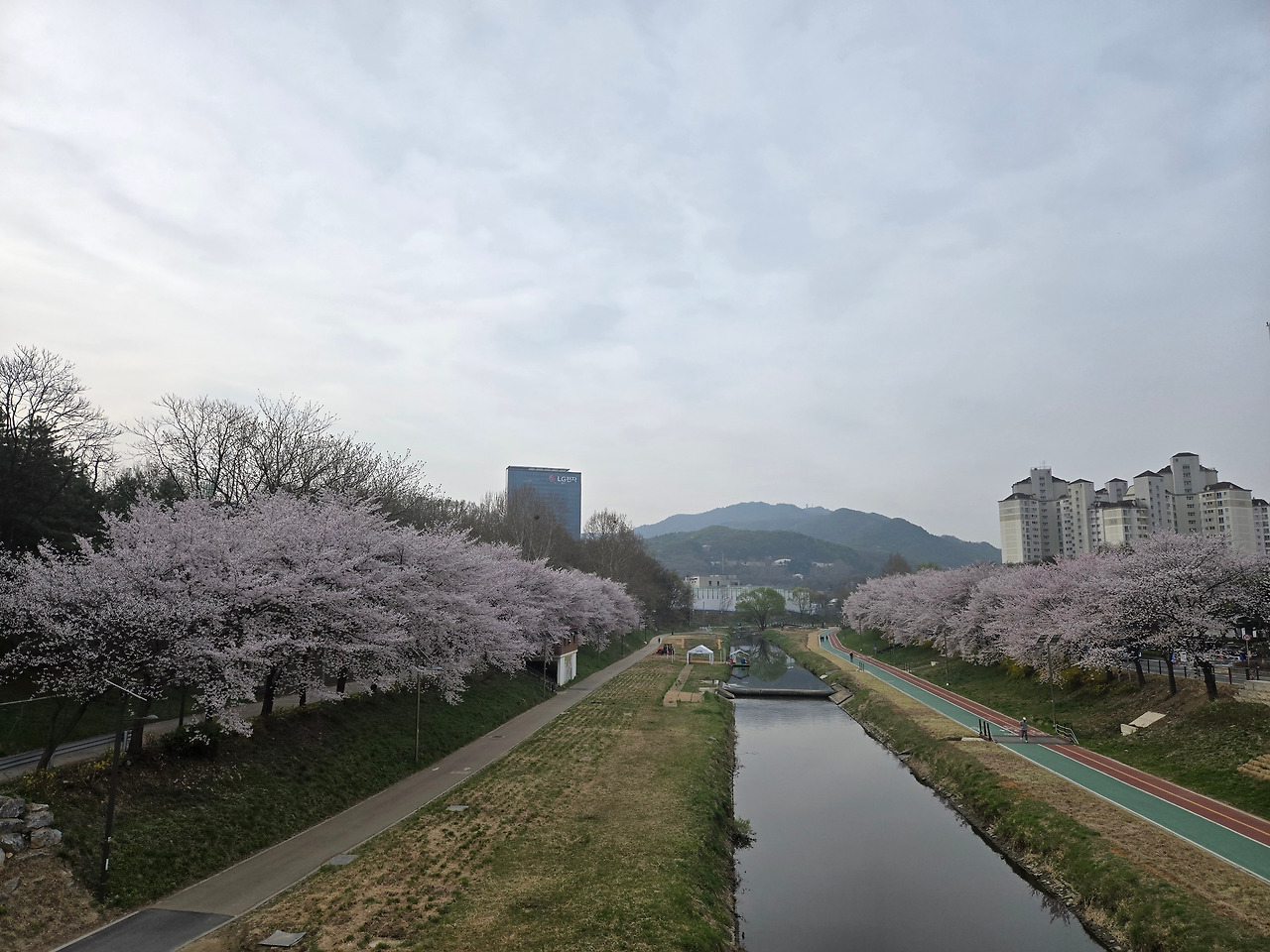 카지노 쿠폰