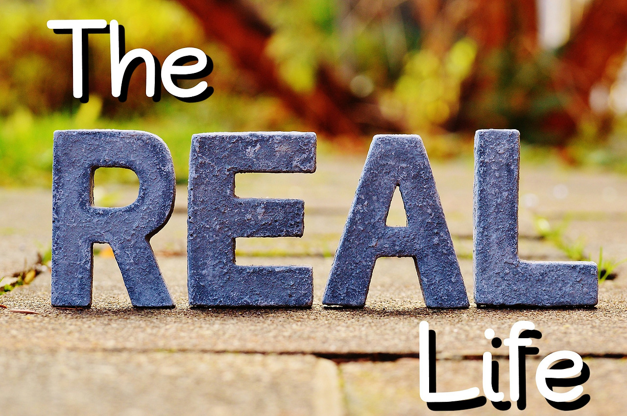 Back To The Real Life
