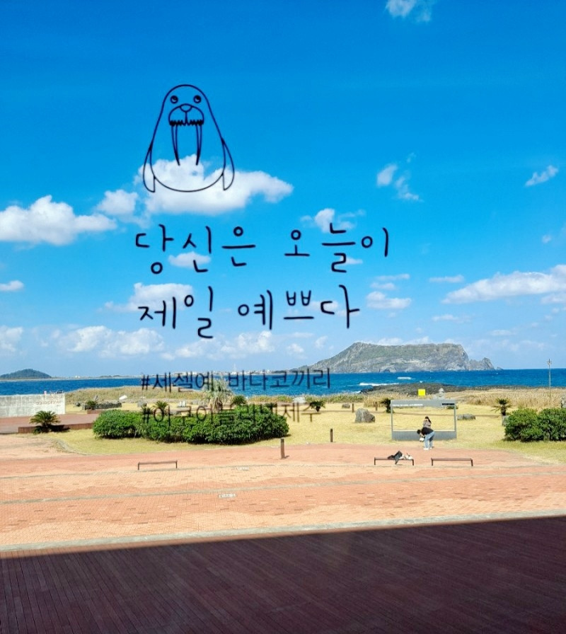 온라인 카지노 게임