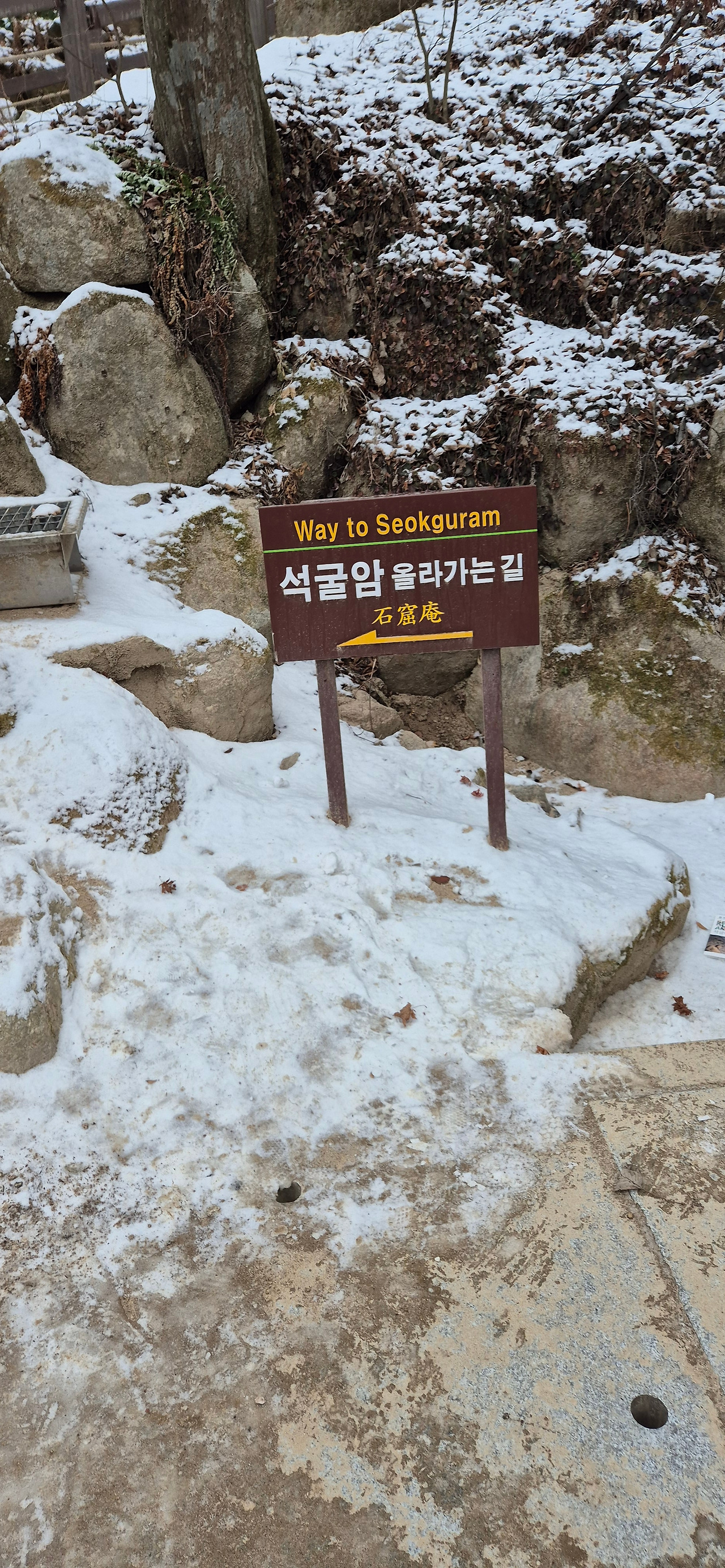 카지노 게임