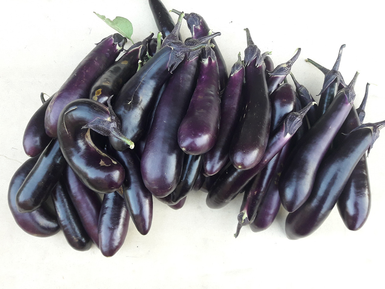 04화 어른의 맛, 가지
