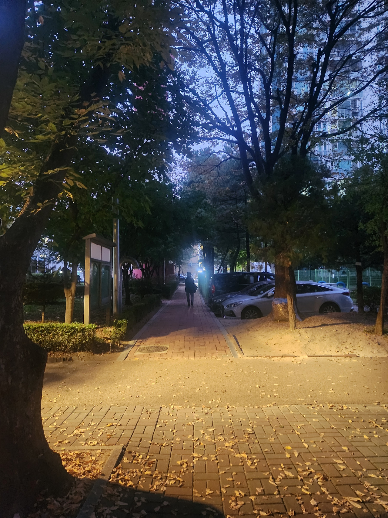 온라인 카지노 게임