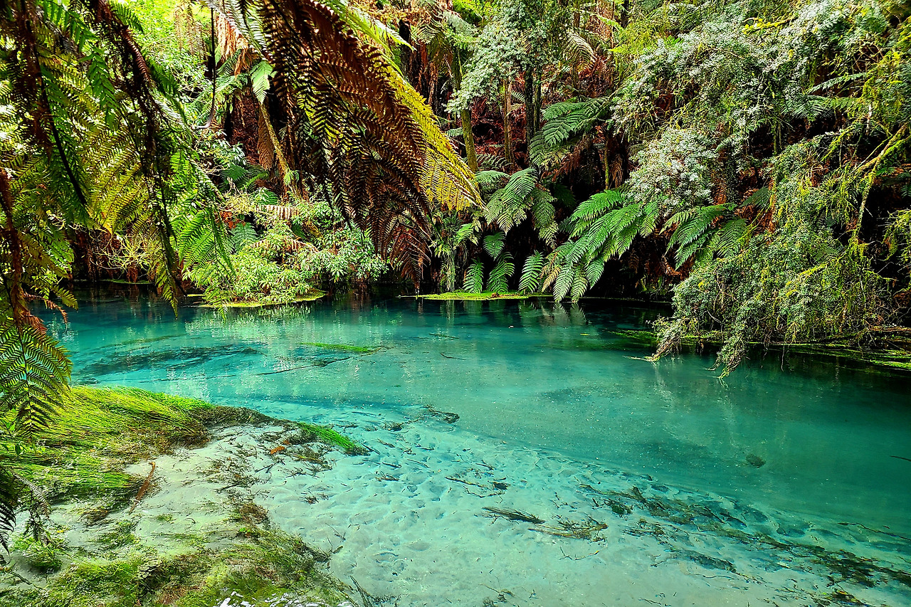 이름 그대로, Blue Springs