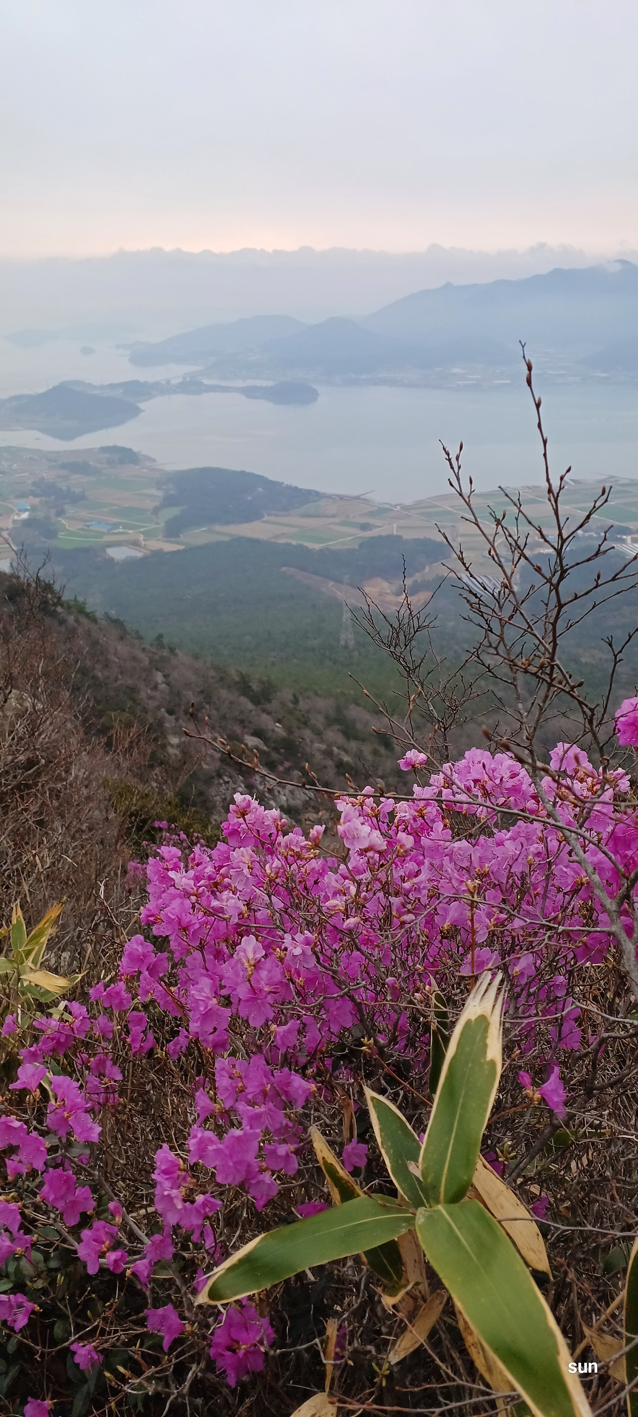 카지노 게임