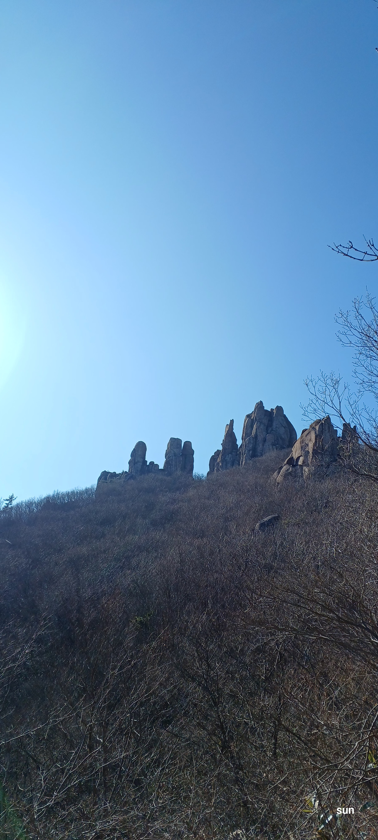 온라인 카지노 게임
