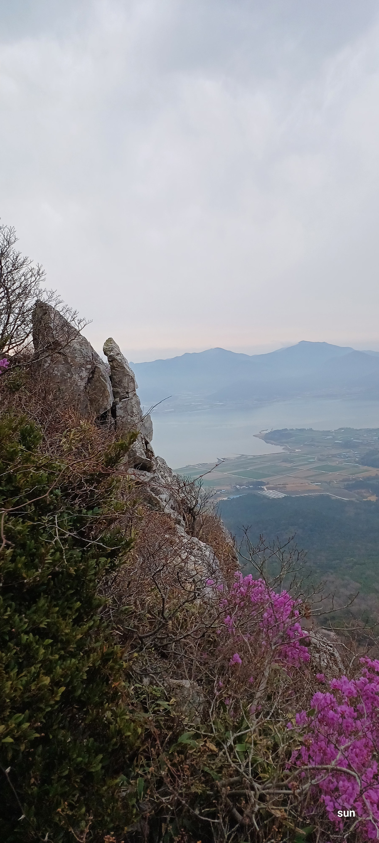 카지노 게임