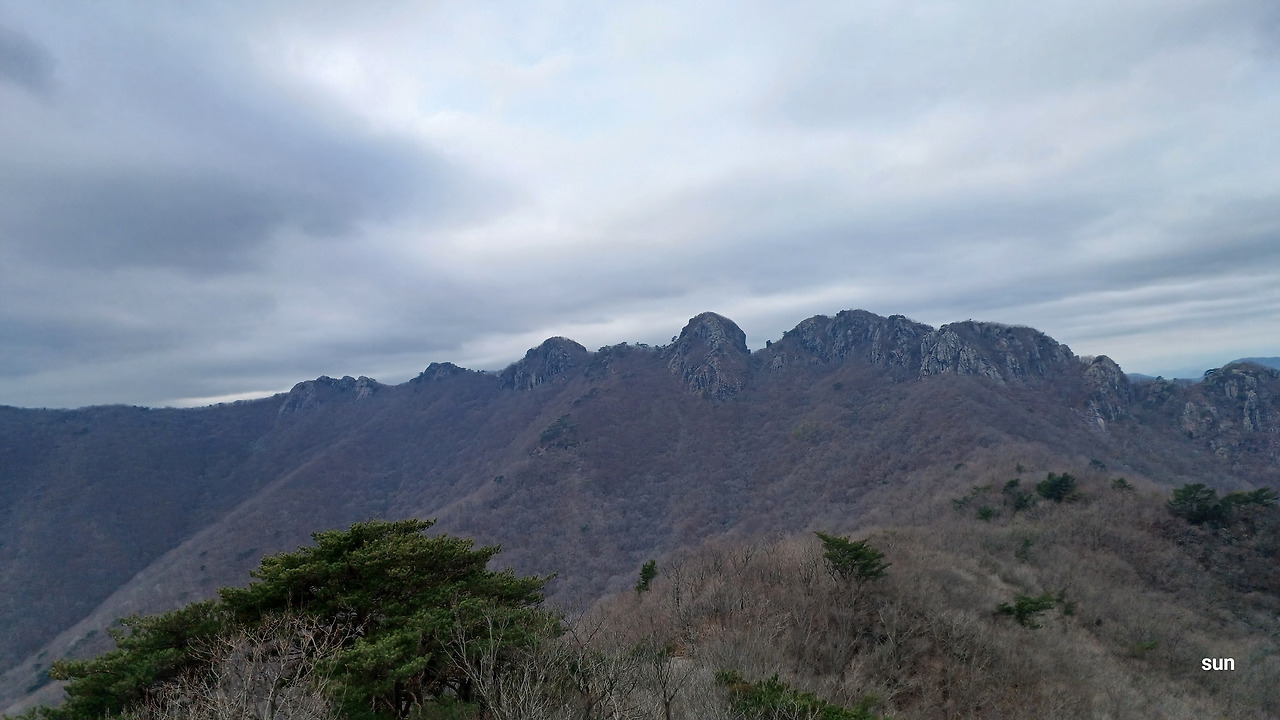 온라인 카지노 게임