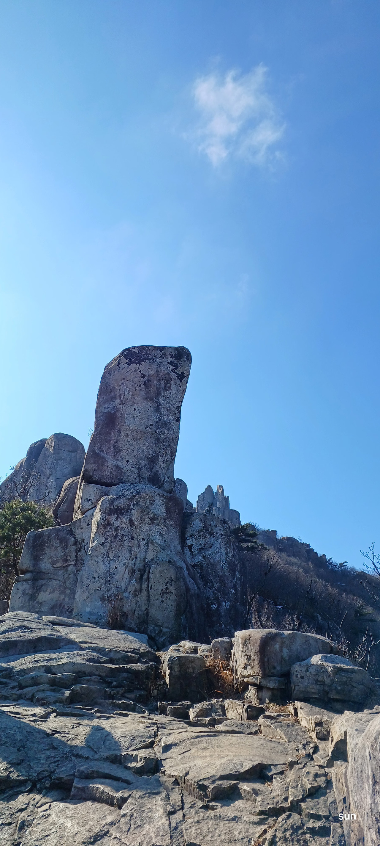 온라인 카지노 게임