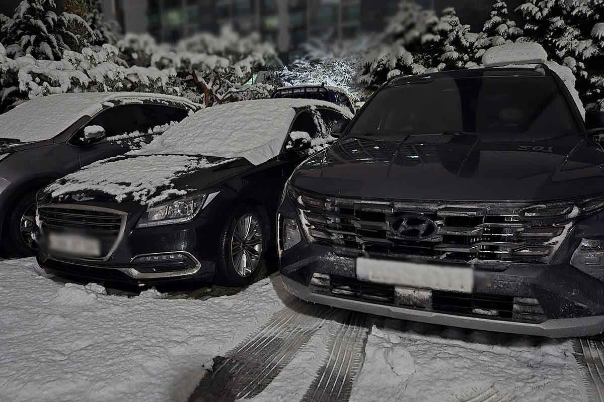 "시동켰네? 과태료" 운전자들, 추운데 장난하냐 난리!