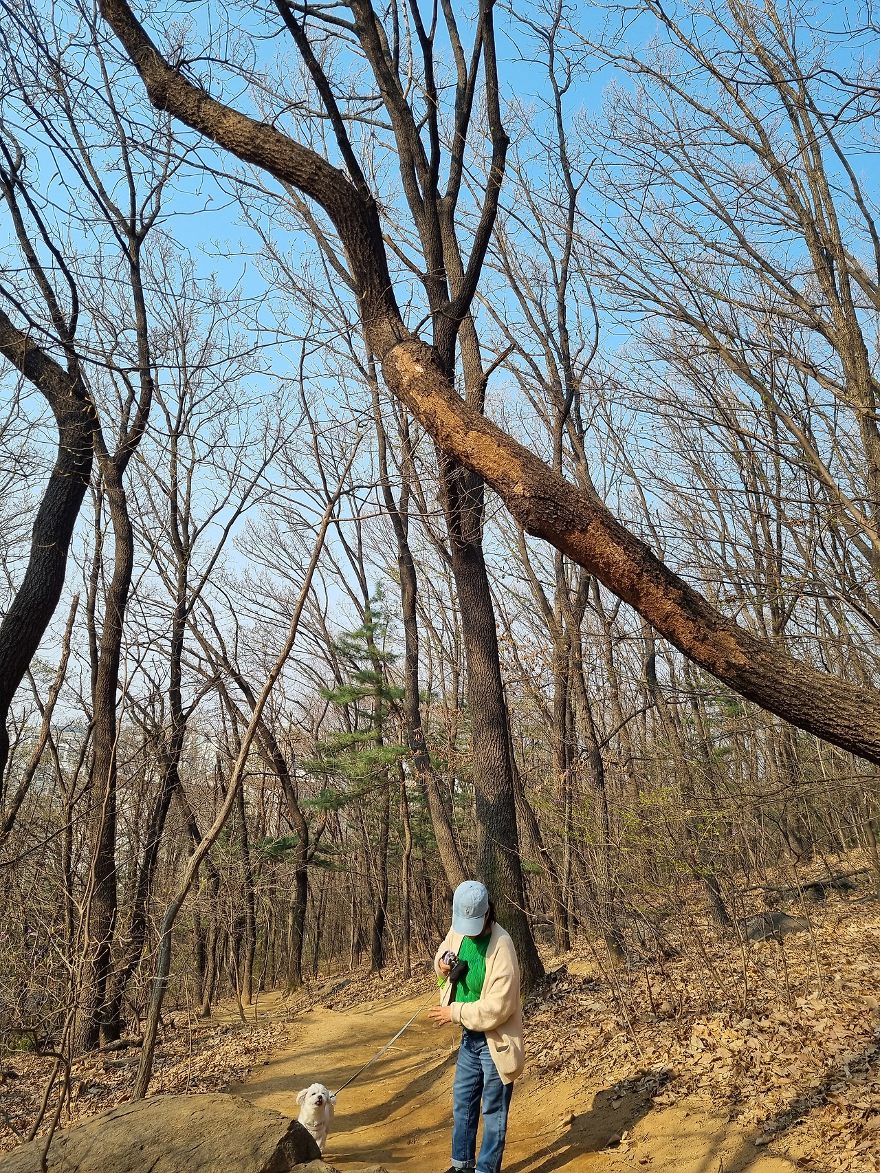 무료 카지노 게임