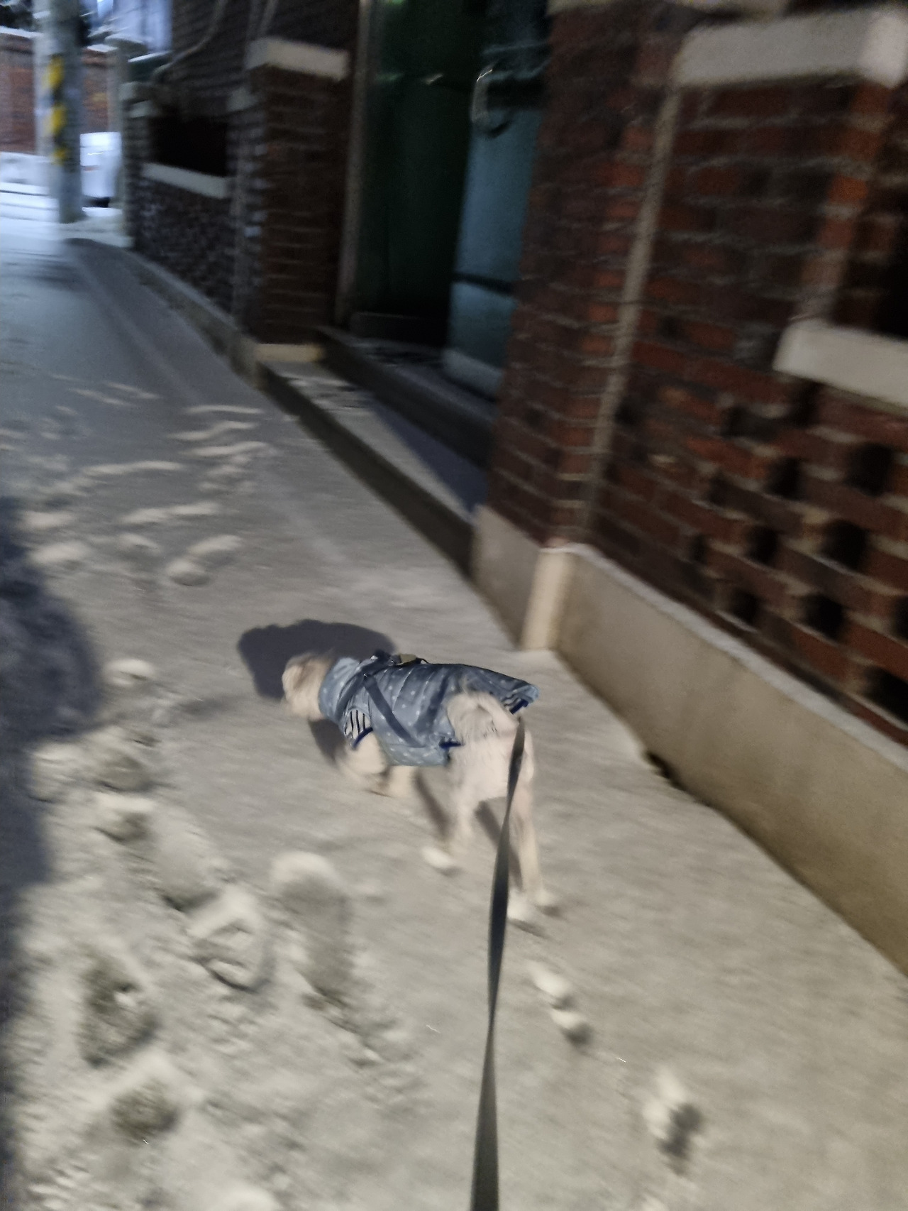 카지노 게임 사이트