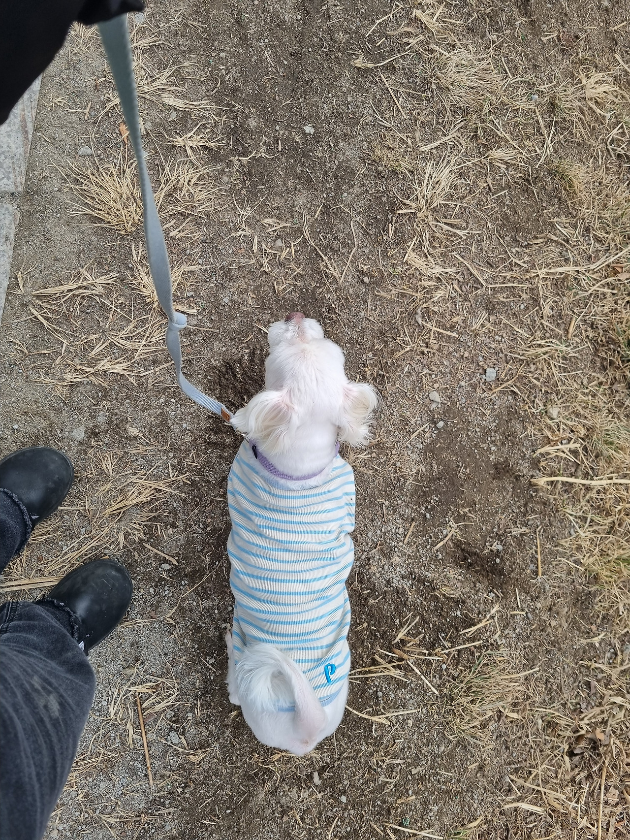 온라인 카지노 게임
