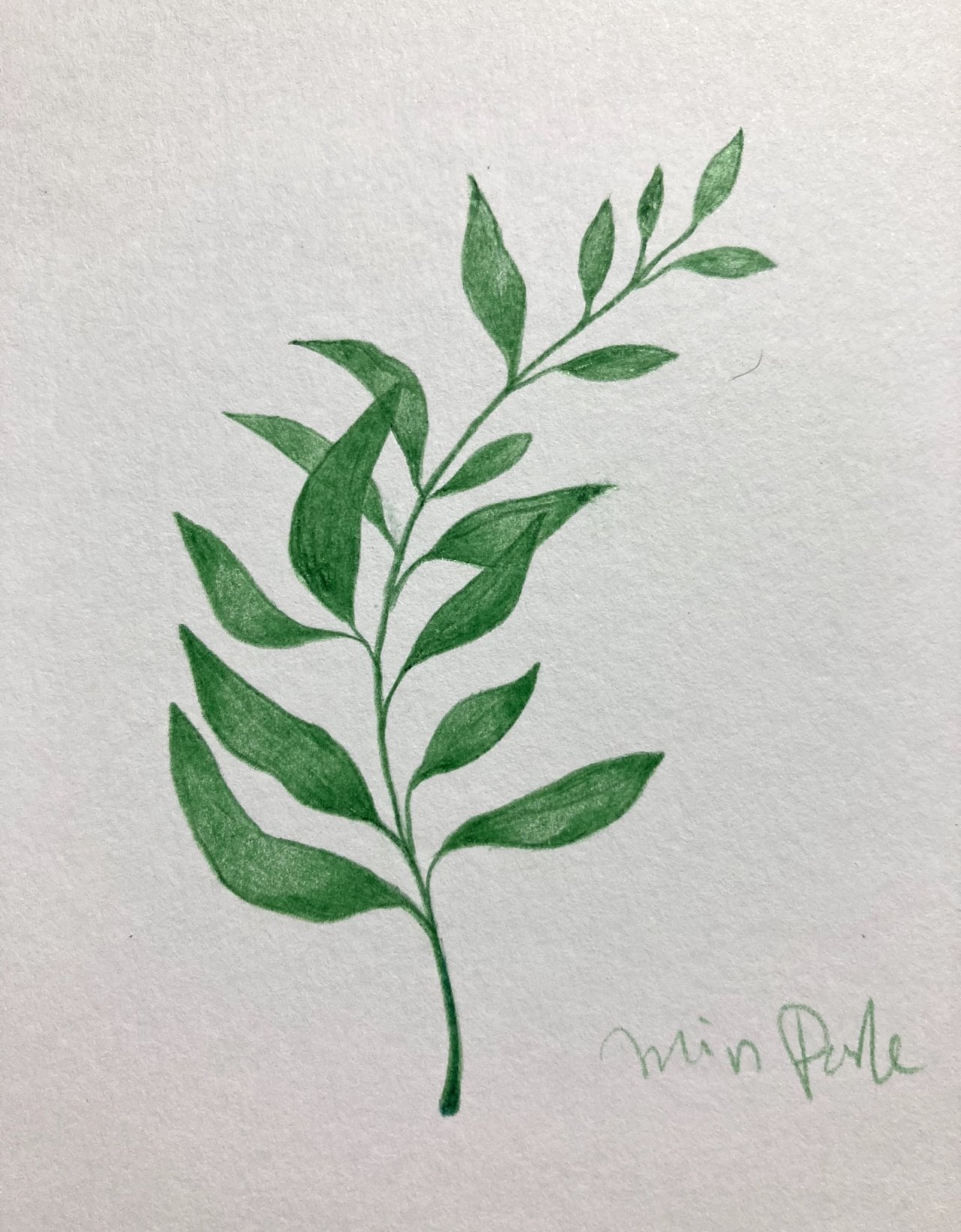 Day70. 풀잎? 나뭇잎?