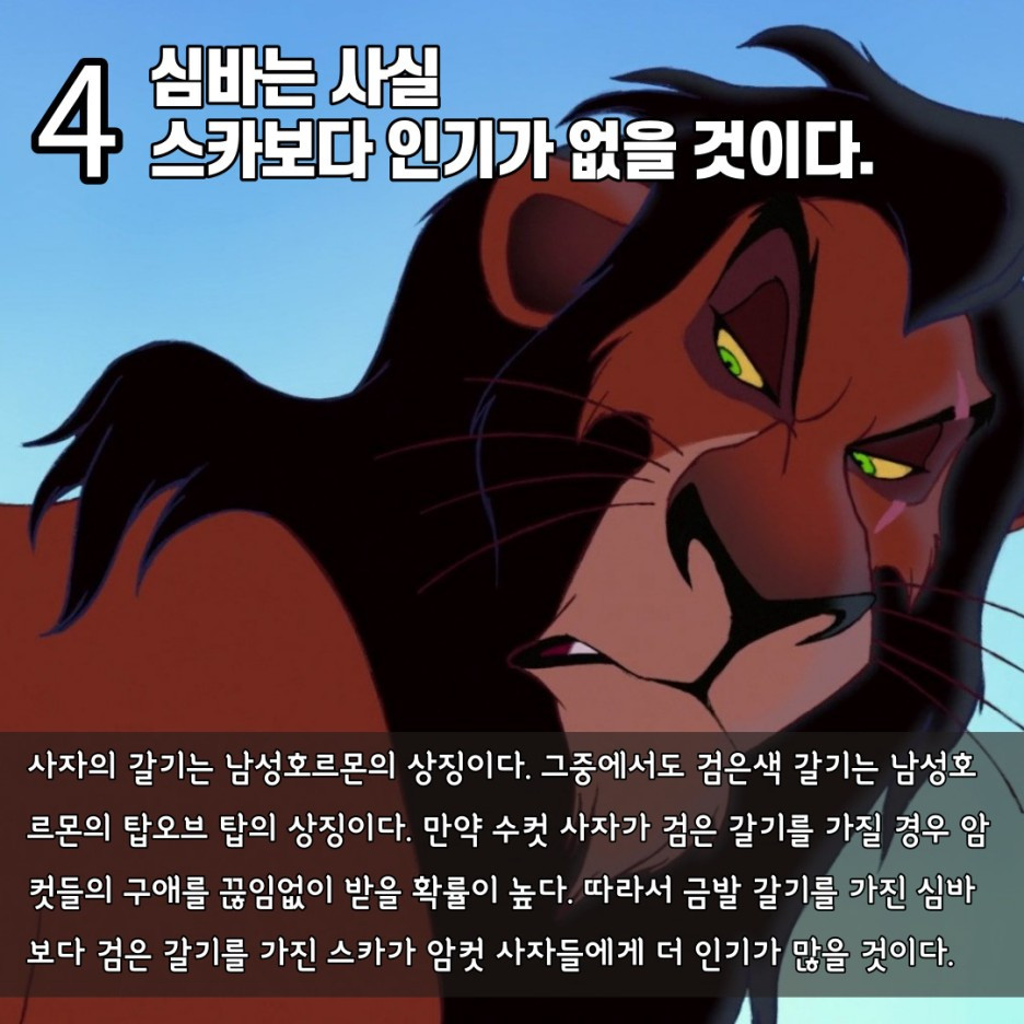 08화 [수의사가 보는 동물 캐릭터] 라이온킹 심바