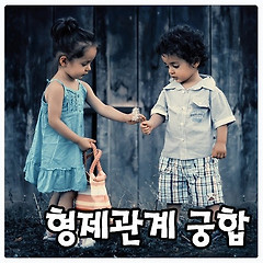 15화 형제·자매관계로 보는 연애 궁합 & 결혼궁합 - 3