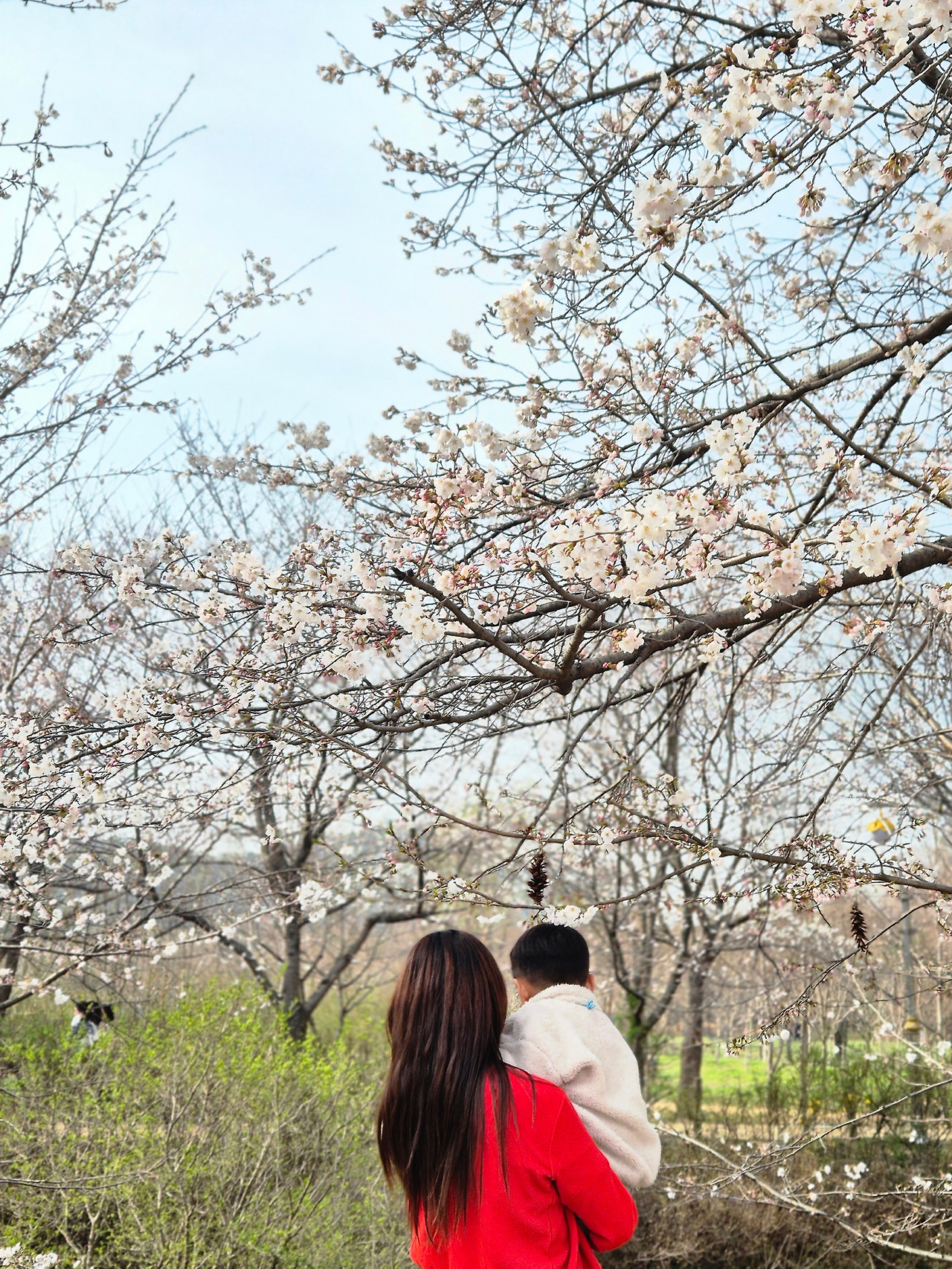 카지노 쿠폰
