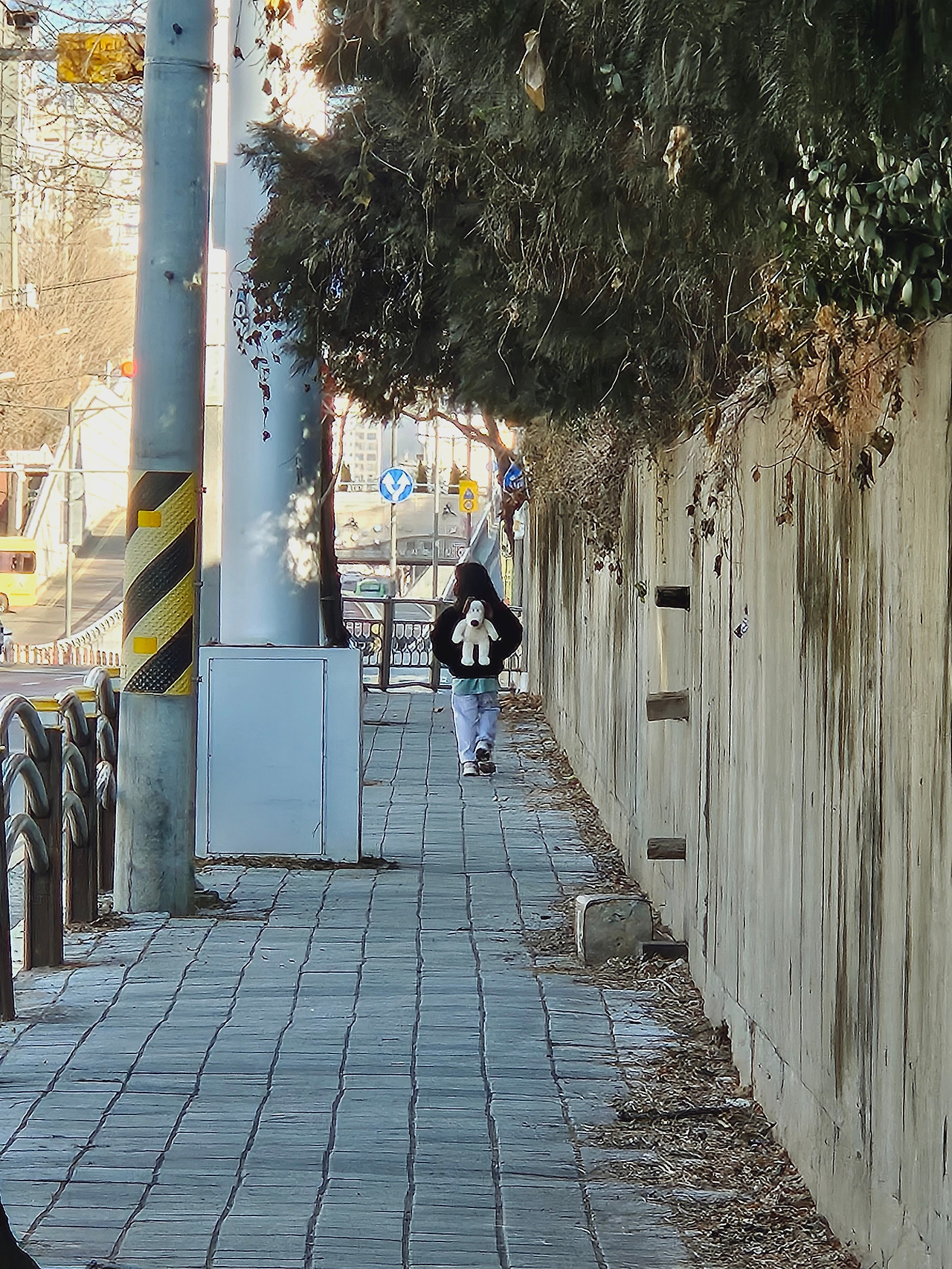 카지노 게임 추천