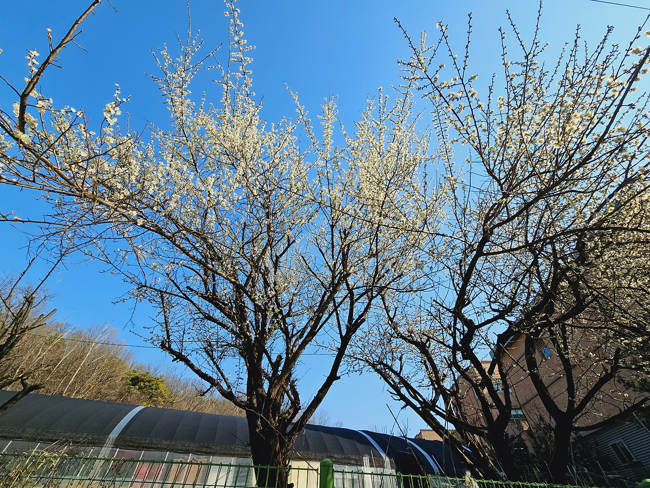 온라인 카지노 게임