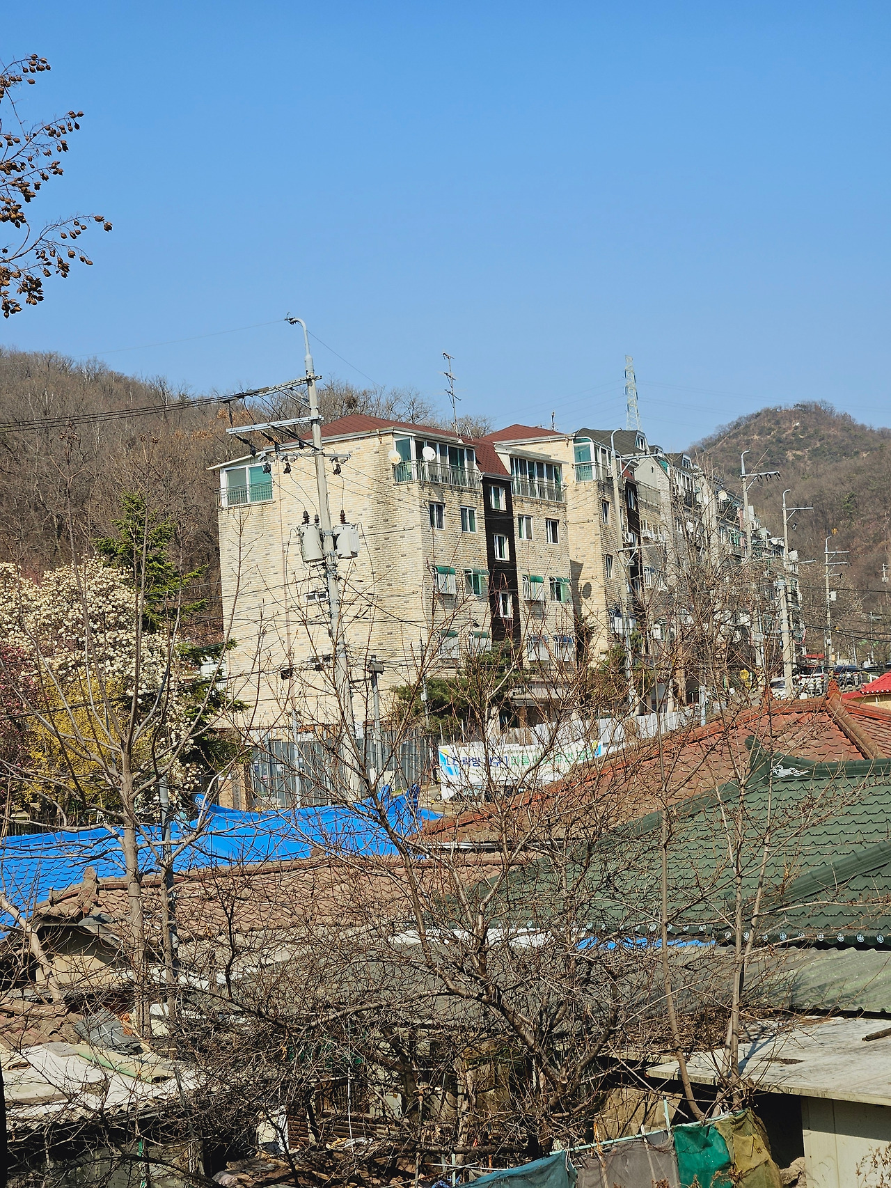온라인 카지노 게임