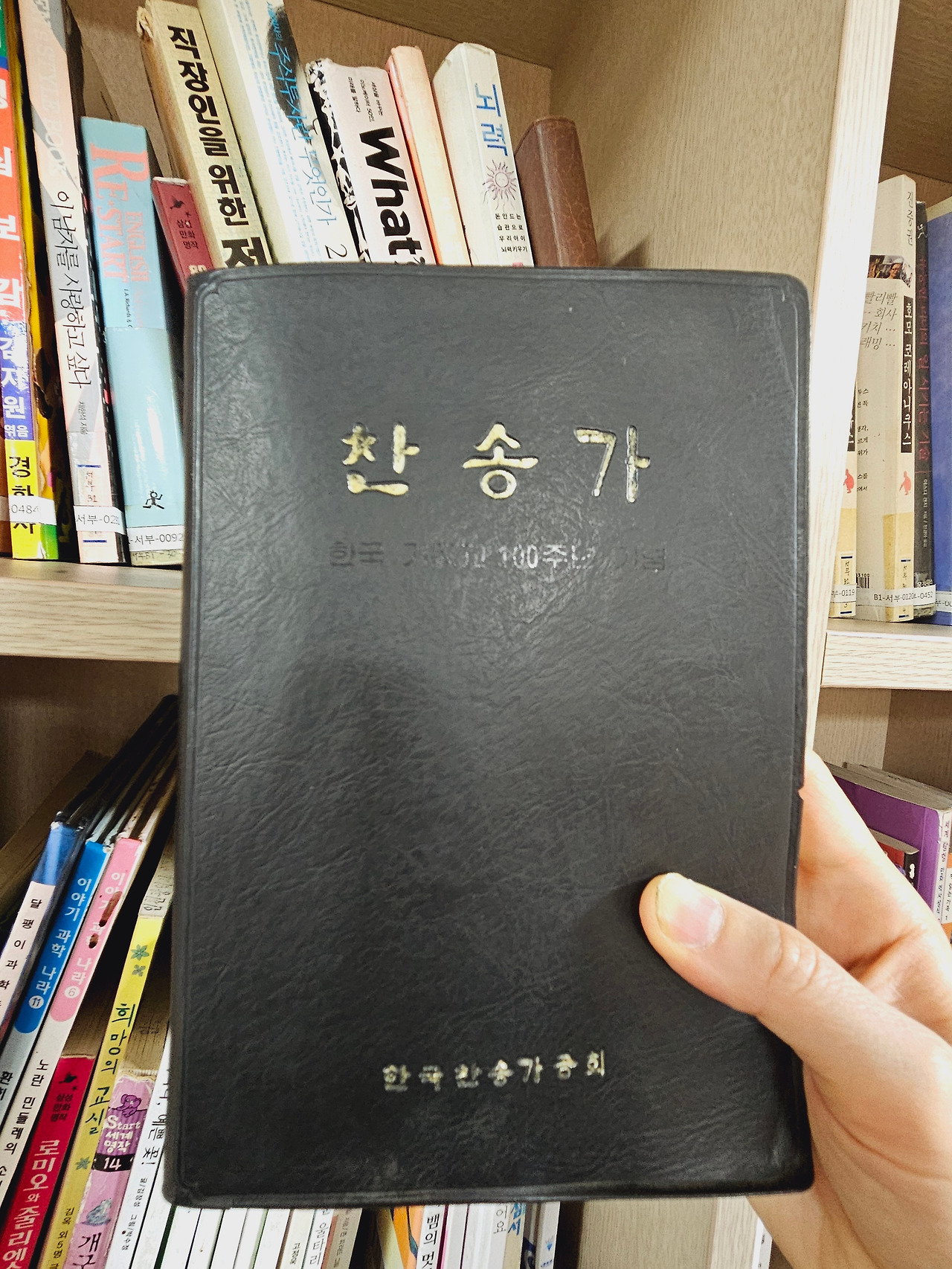 카지노 쿠폰