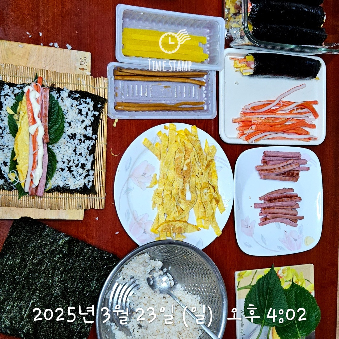카지노 게임 사이트