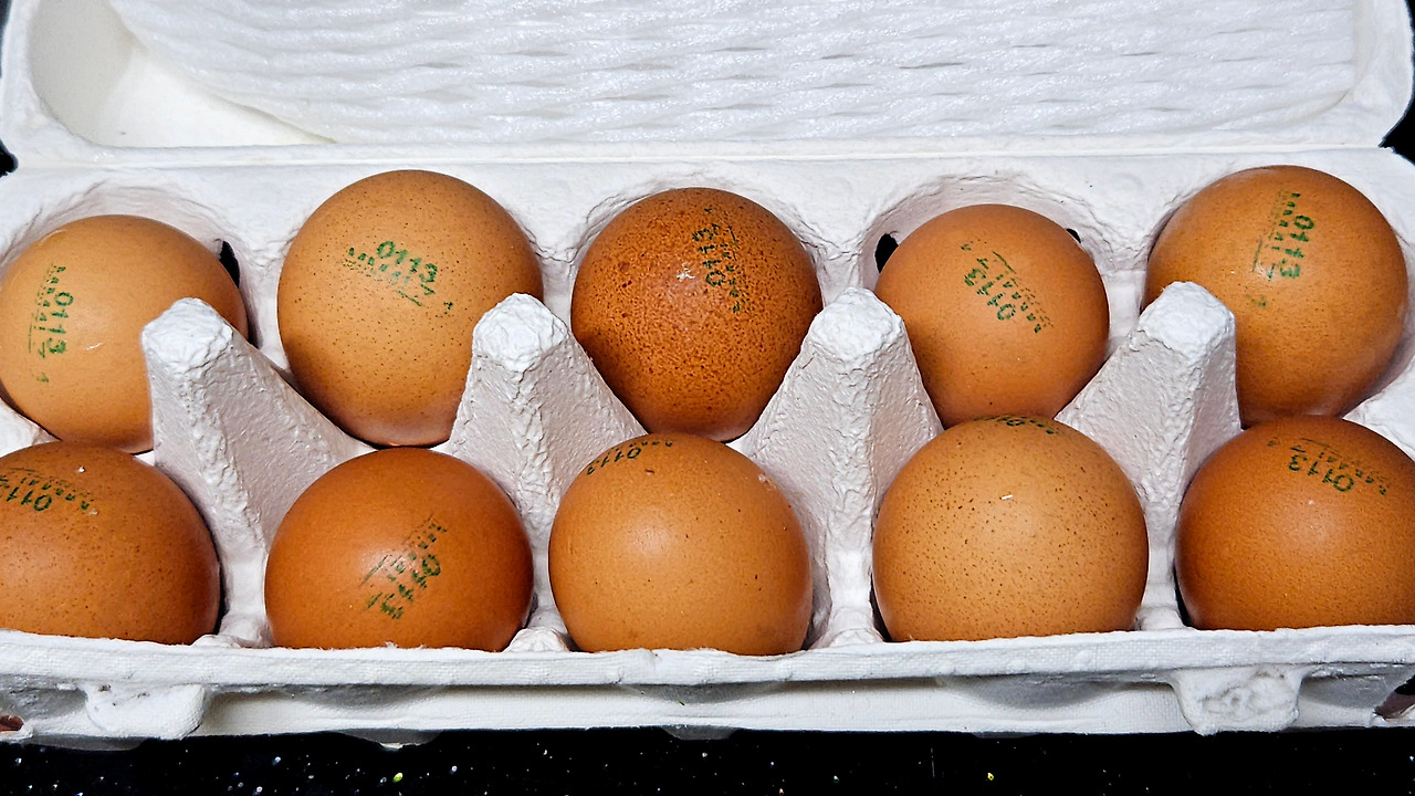 카지노 게임 사이트