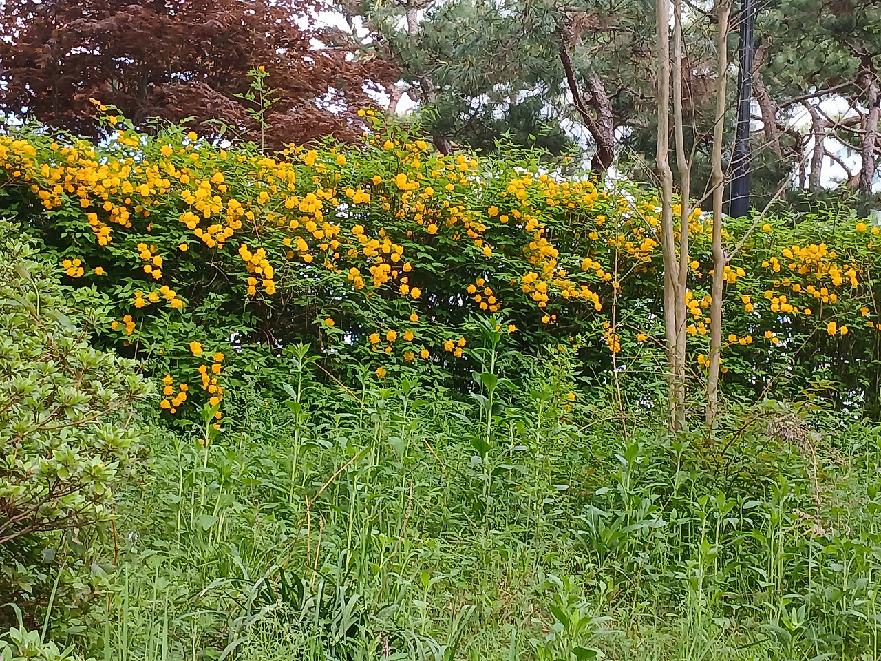 카지노 게임