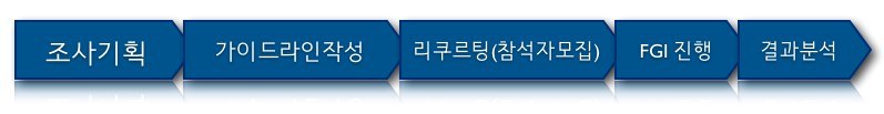 12화 사용자에게 묻다 - FGI