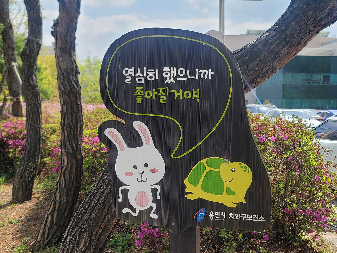카지노 쿠폰