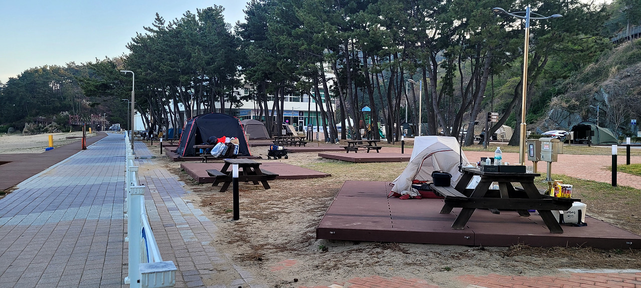 온라인 카지노 게임