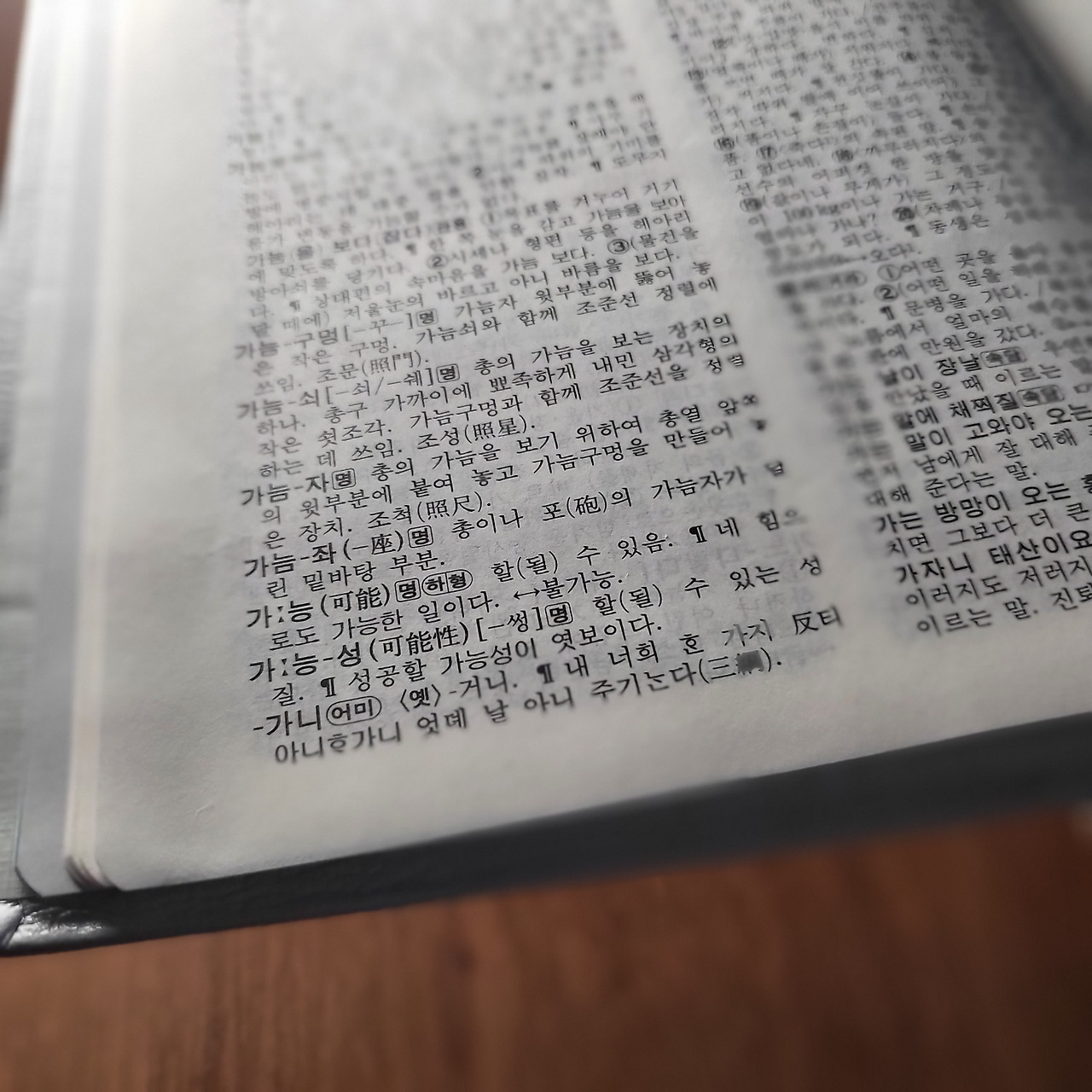 [국어사전]으로 글을 씁니다.