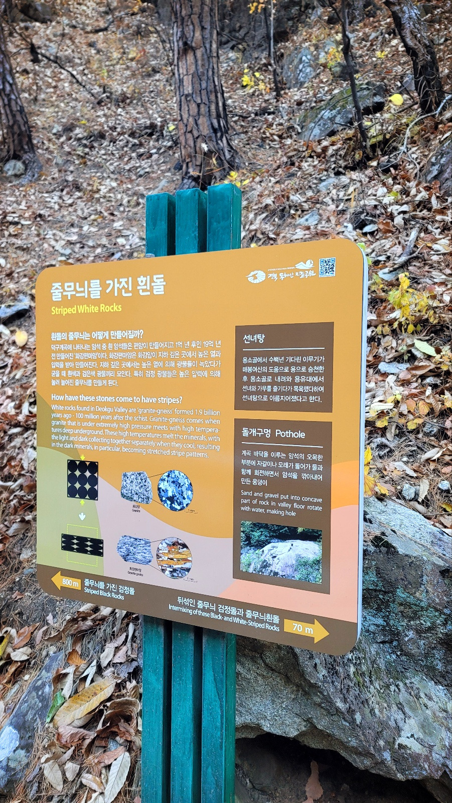 카지노 가입 쿠폰