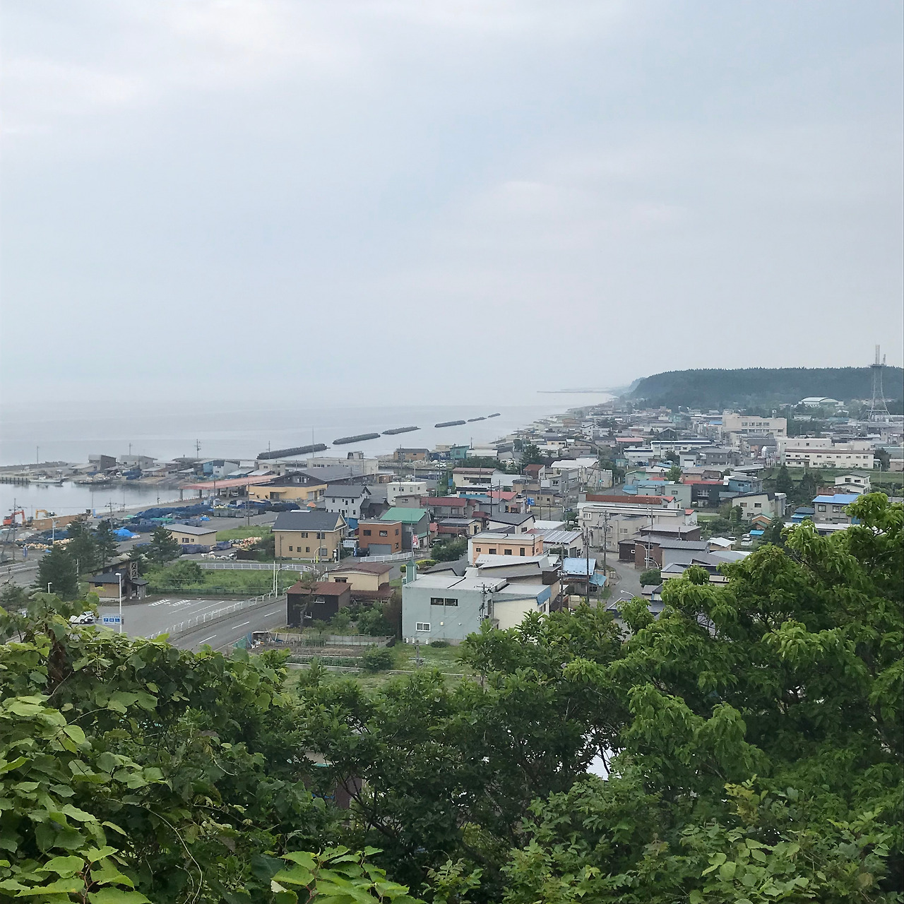 카지노 가입 쿠폰