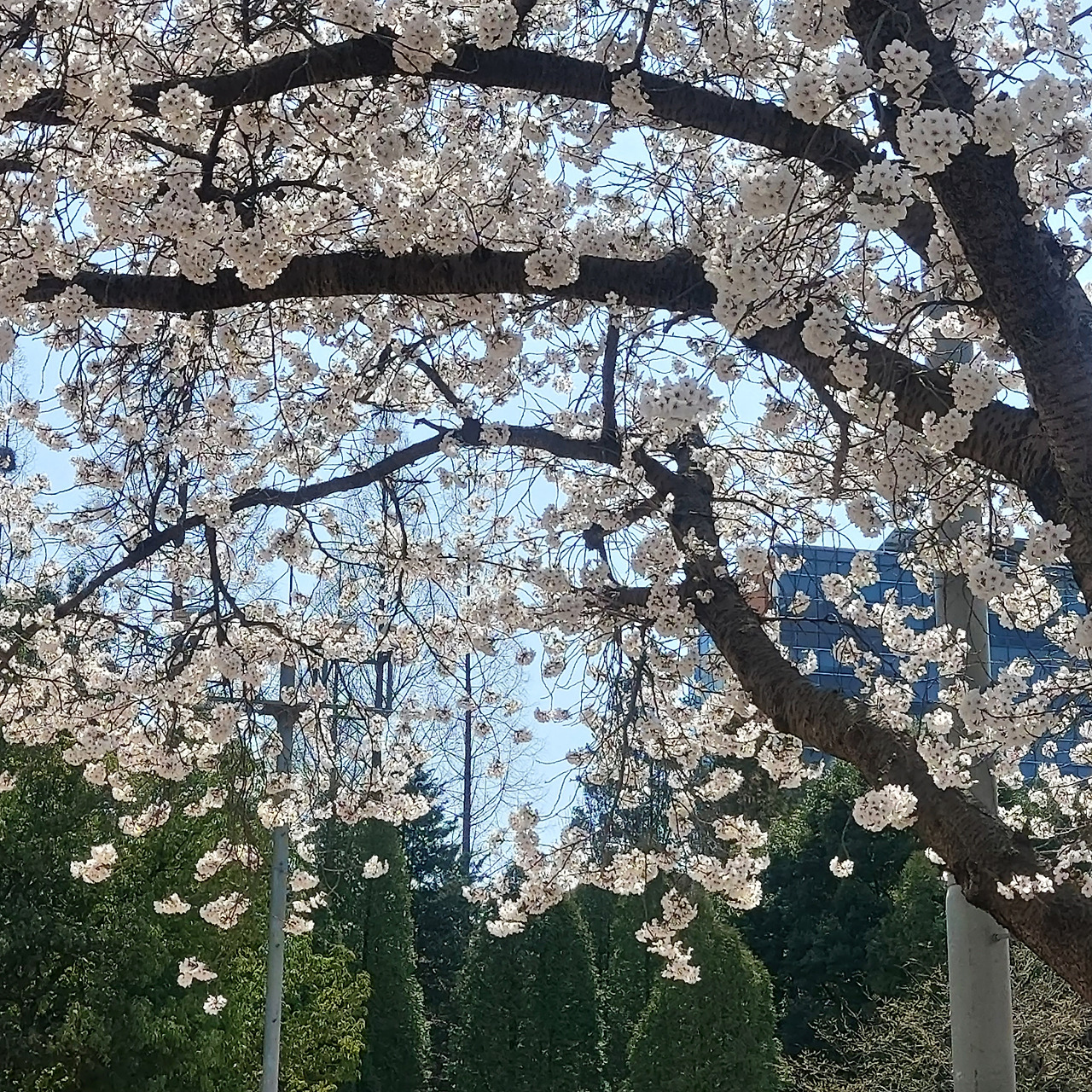 카지노 게임 사이트