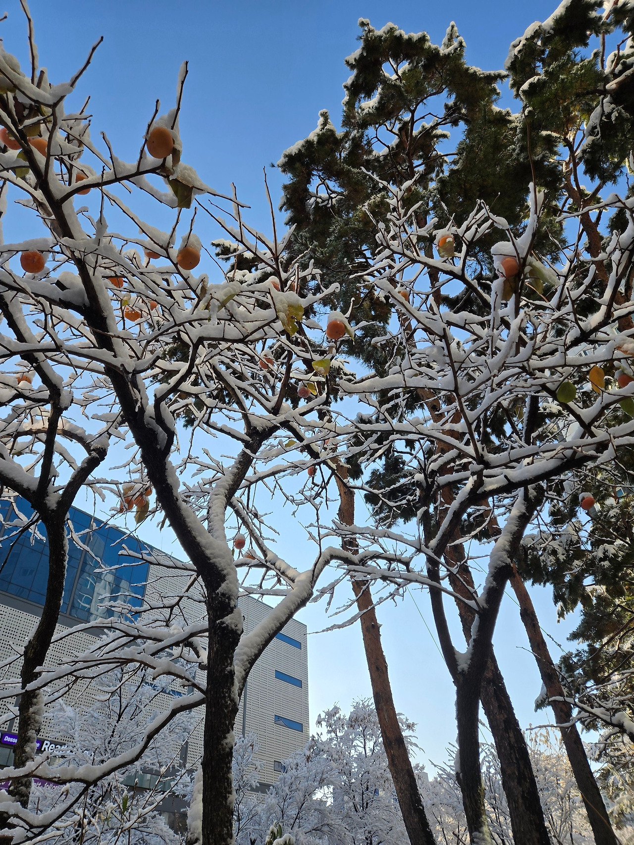 카지노 게임