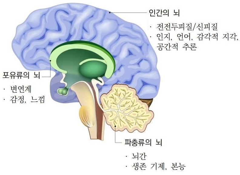 07화 기계가 생각은 하지만 관용은 베풀 수 있을까?