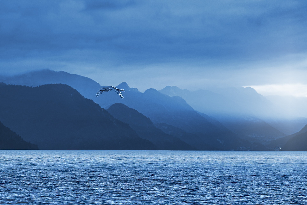 On The Nature Of Daylight