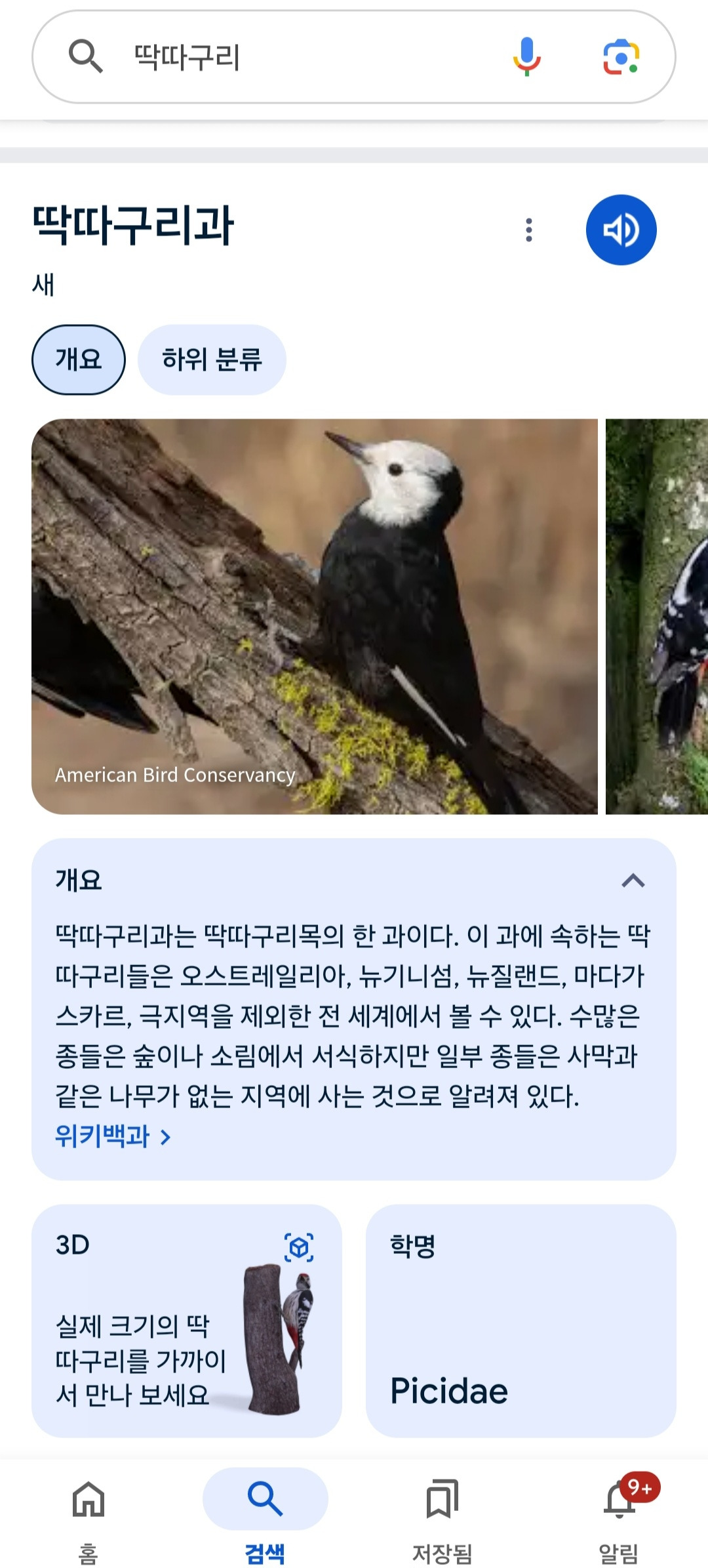 카지노 게임 추천