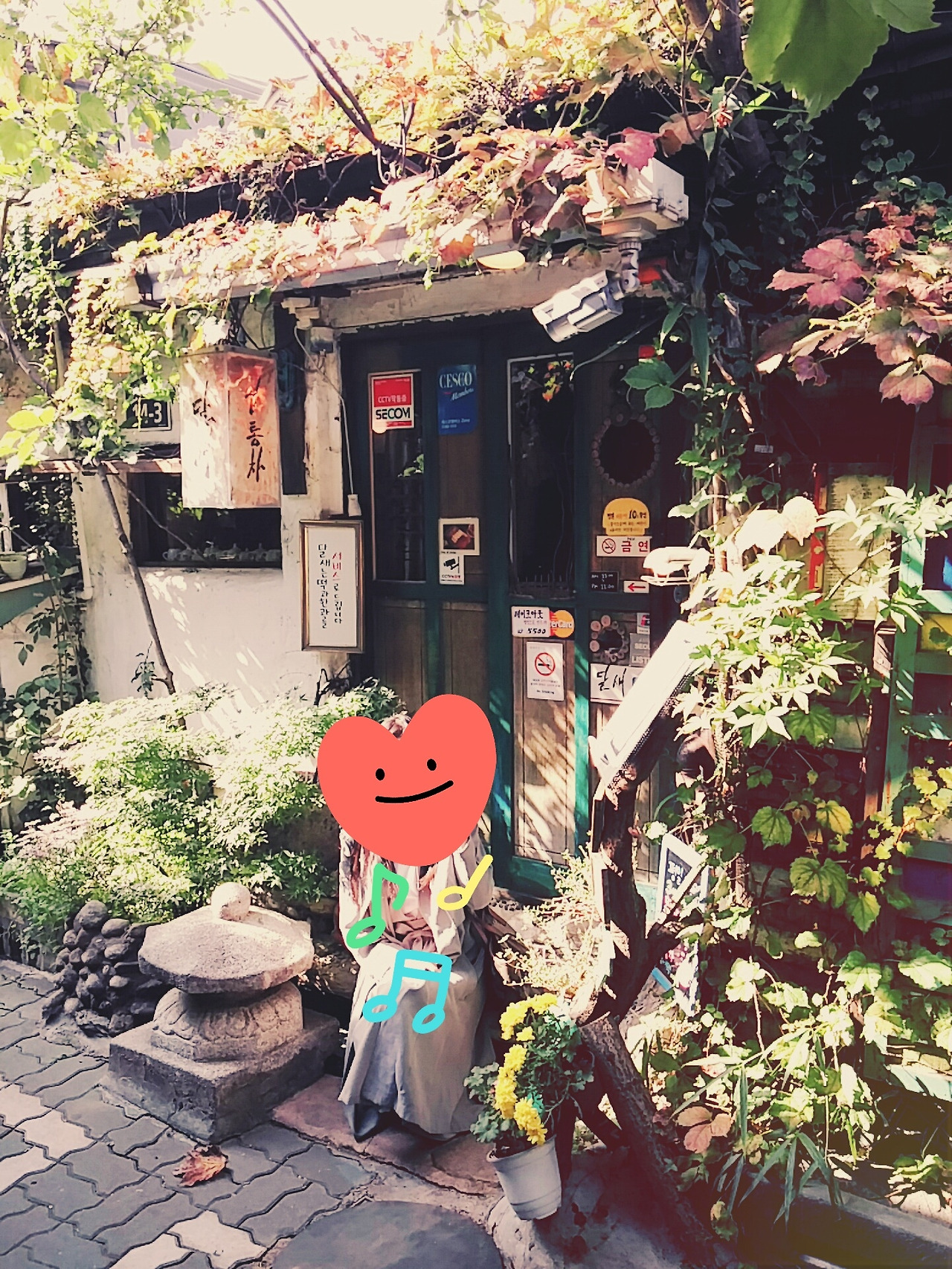 무료 카지노 게임