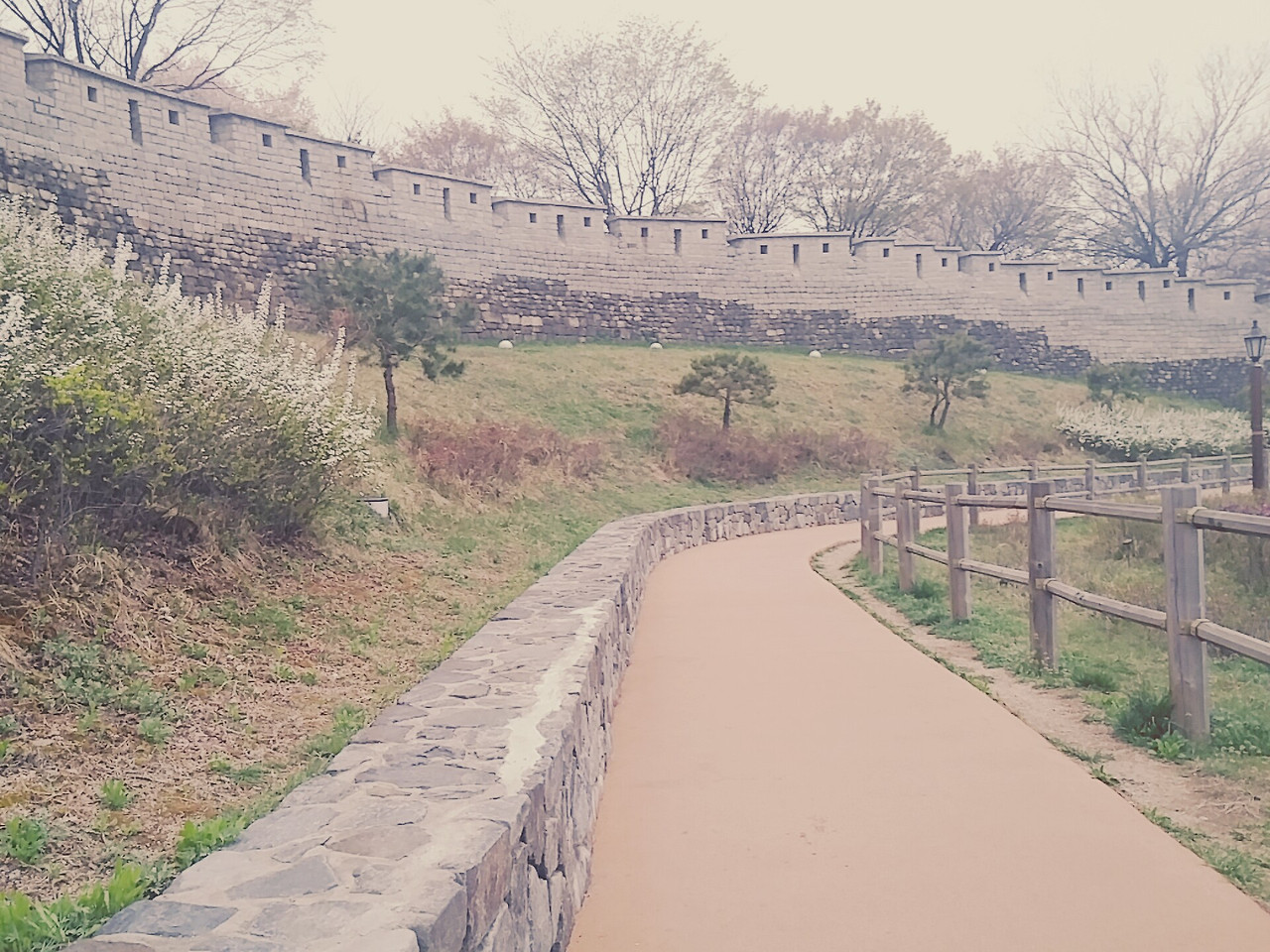 카지노 쿠폰