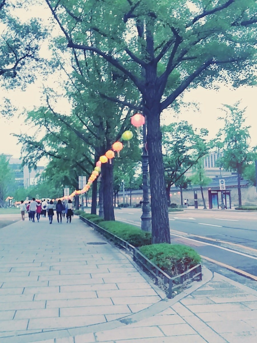 카지노 쿠폰